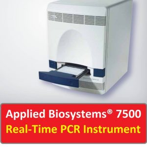 Applied Biosystems 7500