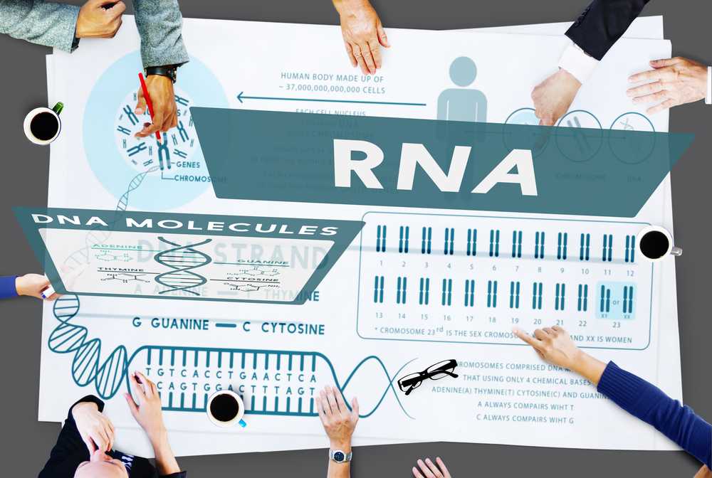DNA And RNA Extraction