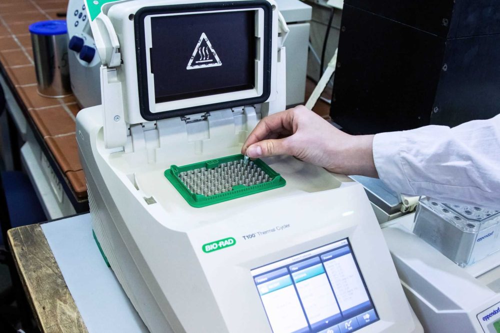 Bio-Rad T100 PCR Thermal Cycler