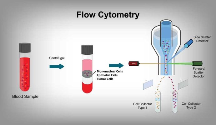 Flow-Cytometry